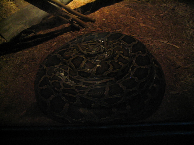 618x457 pixels (150K)